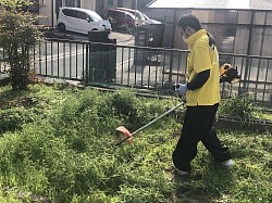 草刈り草取り