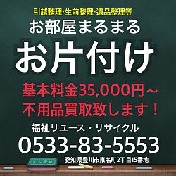 お部屋まるまる片付けパック